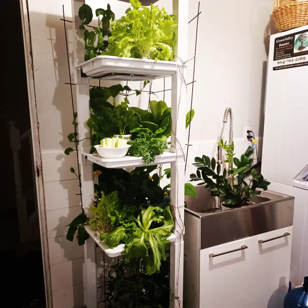 Eden Tower Hope Innovations