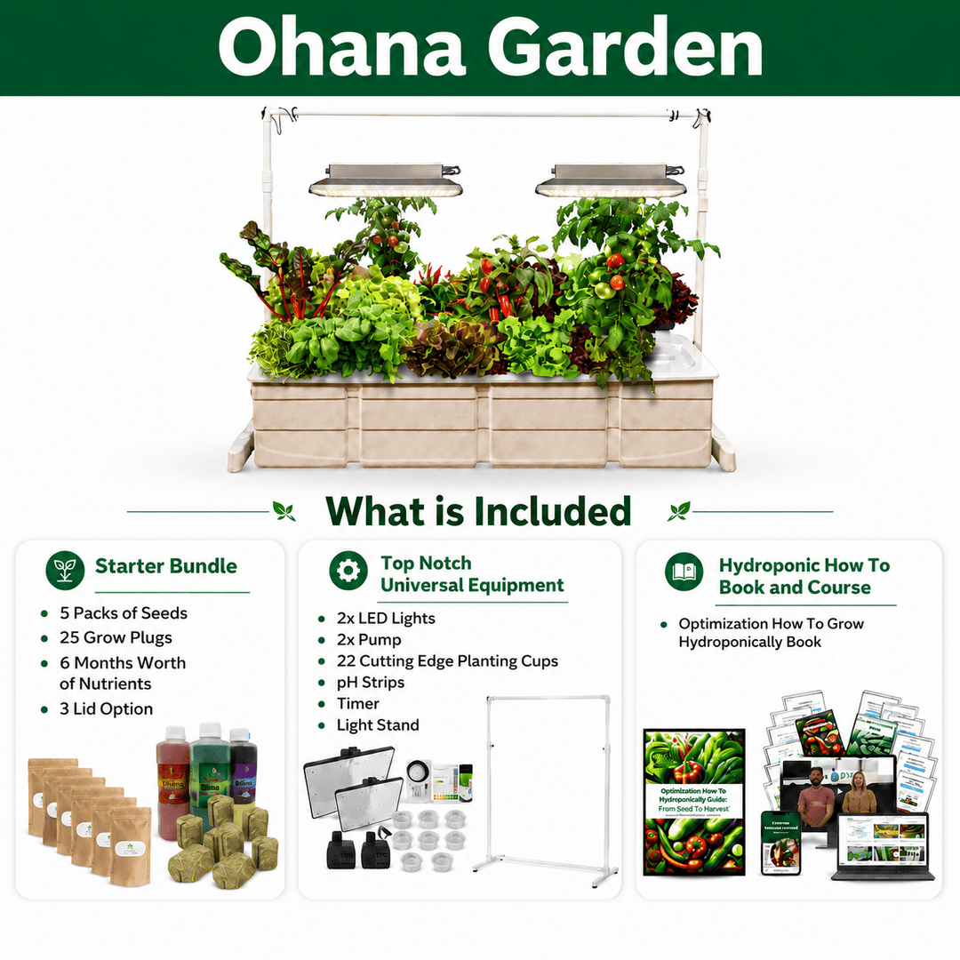 Eden Ohana - Hope Innovations