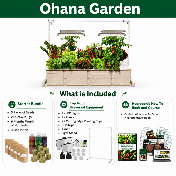 Eden Ohana - Hope Innovations