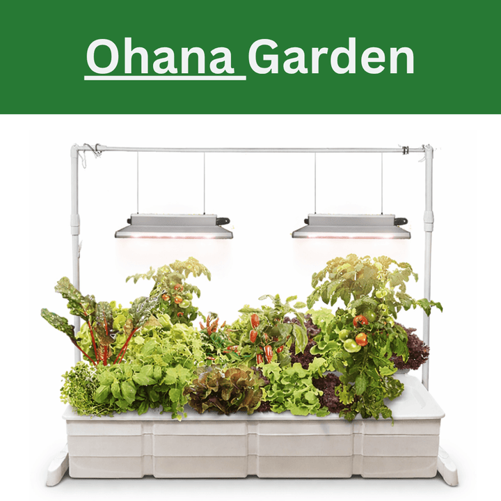 Eden Ohana Indoor Garden System - Hope Innovations