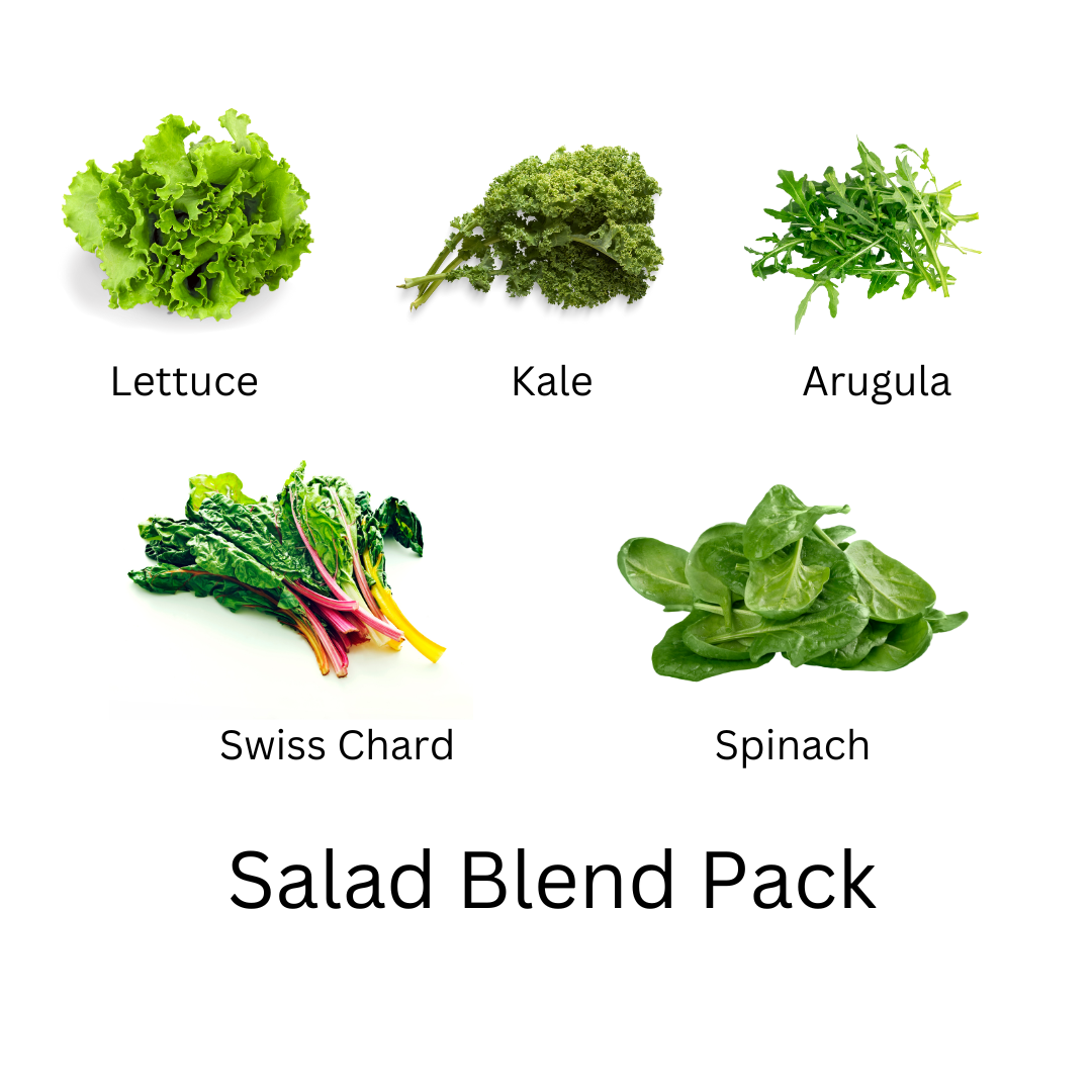 Salad  Blend seed pack includes kale, lettuce, arugula,swiss chard, spinach