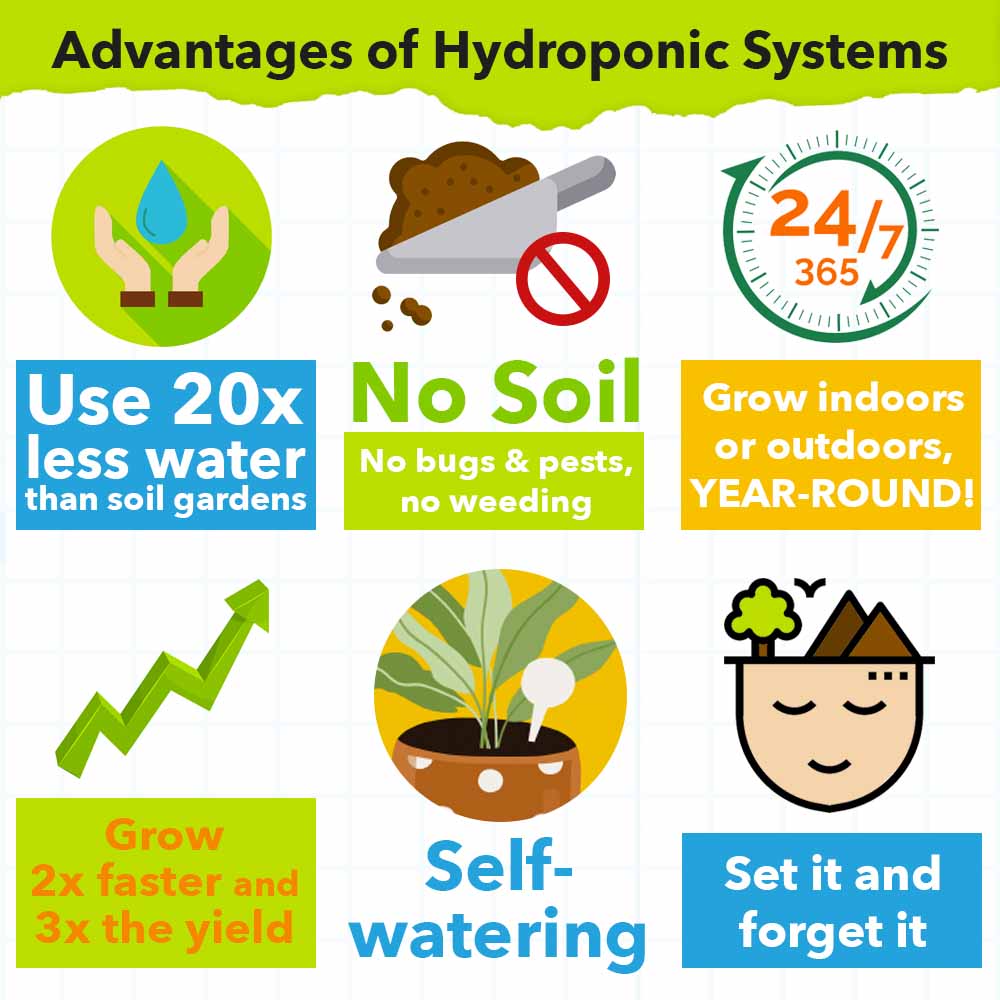 Eden Garden advantages of hydroponic systems